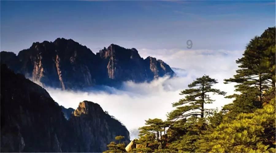 妙鸭相机app下载官网