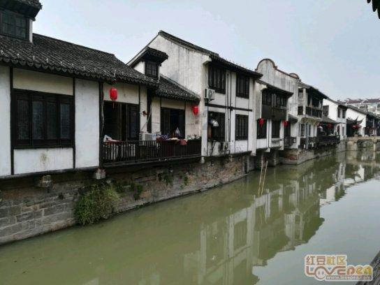 收入越低，什么保险越要买呢？游戏画面